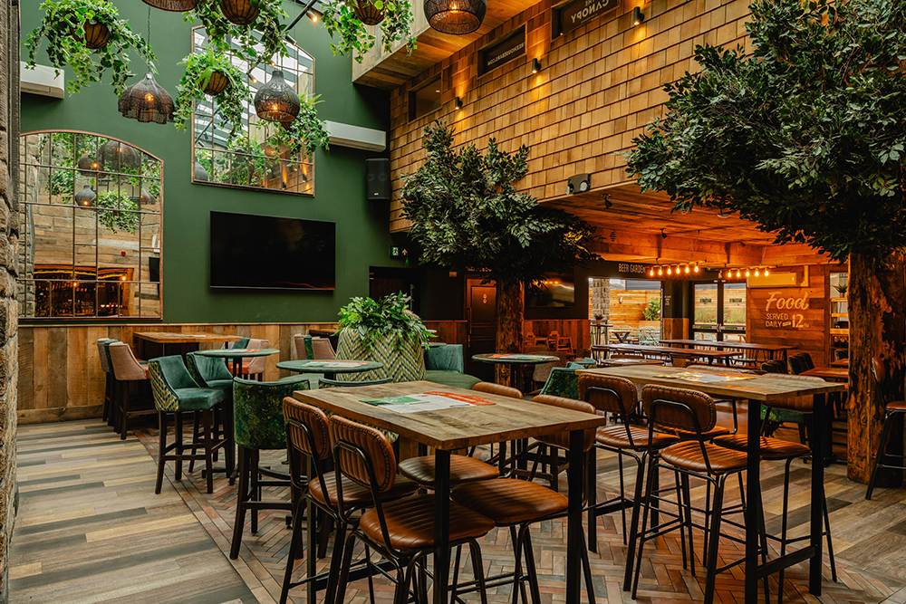 Treehouse-7 (1000x667) 31 Treehouse-7 (1000x667) 31